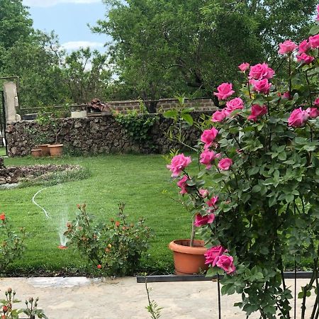 Chez Yvette Bed & Breakfast Garni Bagian luar foto